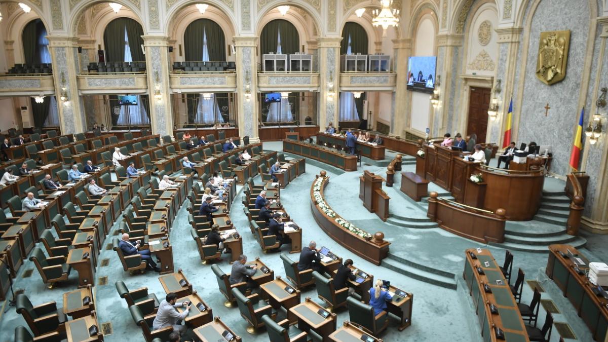 Decizii economice la Parlament: Intervenția statului în prețul combustibililor și transparența salarială