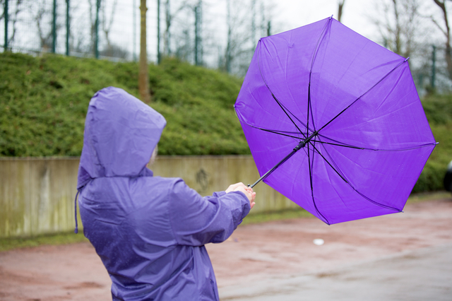 Avertizări meteorologice: Cod galben de vânt și precipitații la altitudini mari până vineri